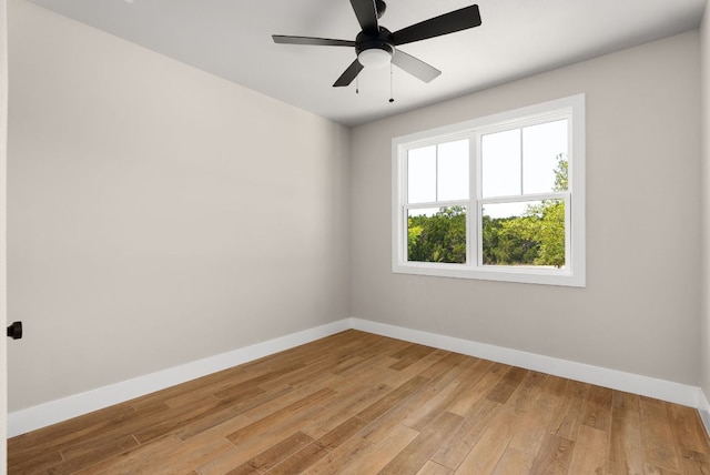 347 Stars And Stripes, Fischer, TX 78623 - spare room featuring baseboards, light wood-style flooring, and a ceiling fan