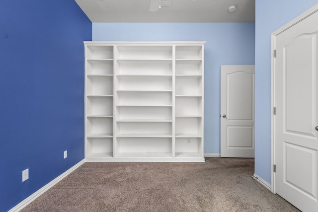 217 Monahans Dr, Georgetown, TX 78628 - view of closet