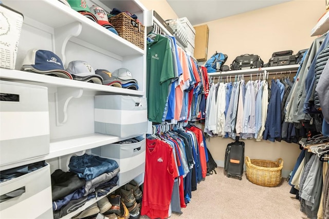 2560 Square Nail Cv, Leander, TX 78641 - spacious closet featuring carpet flooring