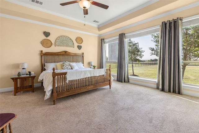 2560 Square Nail Cv, Leander, TX 78641 - carpeted bedroom with ornamental molding, multiple windows, a raised ceiling, and ceiling fan
