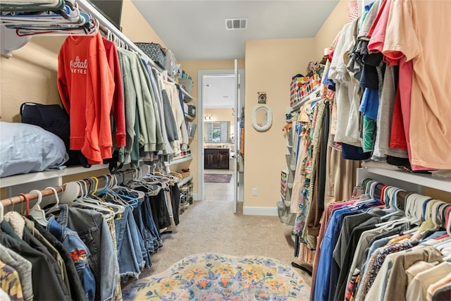 2560 Square Nail Cv, Leander, TX 78641 - spacious closet with carpet floors