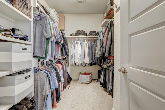 2560 Square Nail Cv, Leander, TX 78641 - walk in closet featuring carpet floors