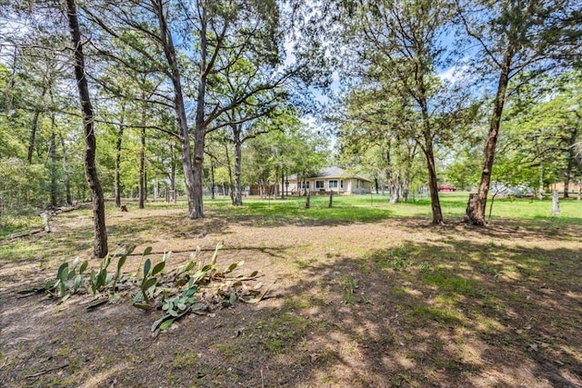 145 Moon Mist Dr, Bastrop, TX 78602 - view of yard
