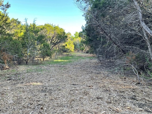 271 Ridgeline Rd, Leander, TX 78641