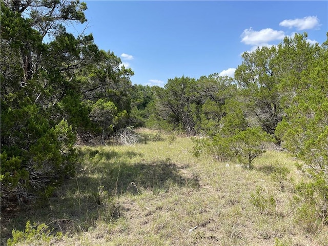271 Ridgeline Rd, Leander, TX 78641