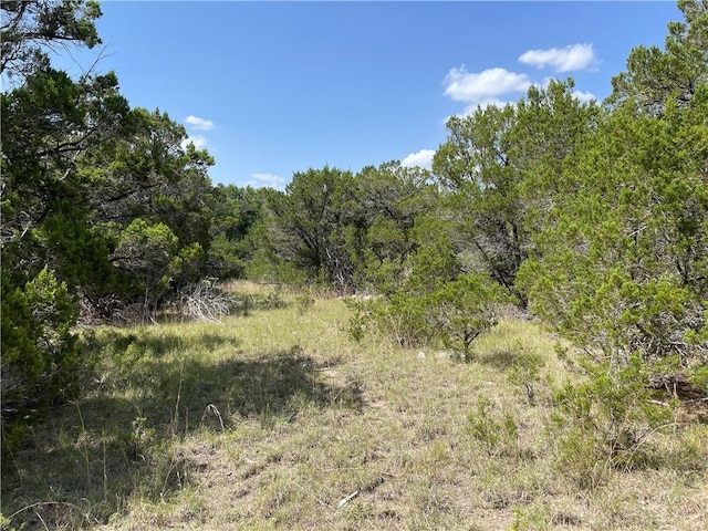 271 Ridgeline Rd, Leander, TX 78641