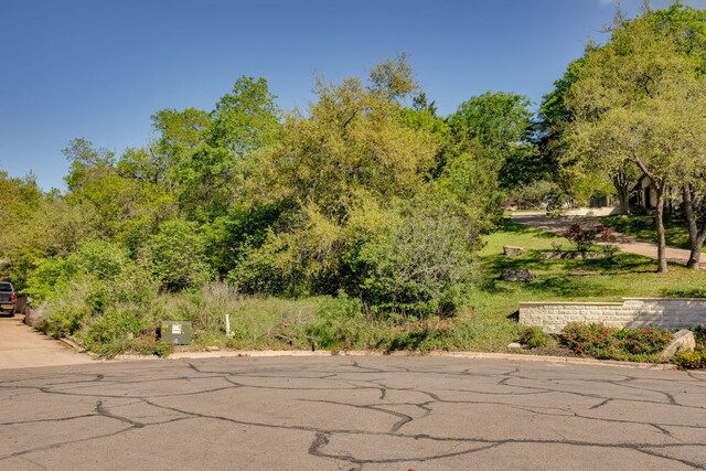 6801 Finklea Cv, Austin, TX 78730 - photo 7