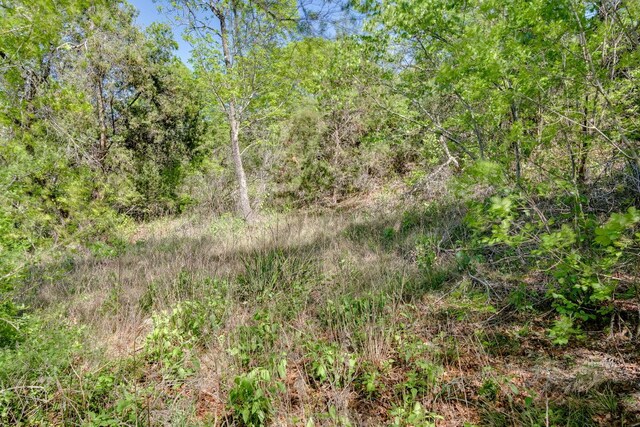 6801 Finklea Cv, Austin, TX 78730 - photo 9