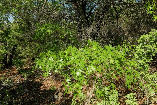 6801 Finklea Cv, Austin, TX 78730 - photo 13