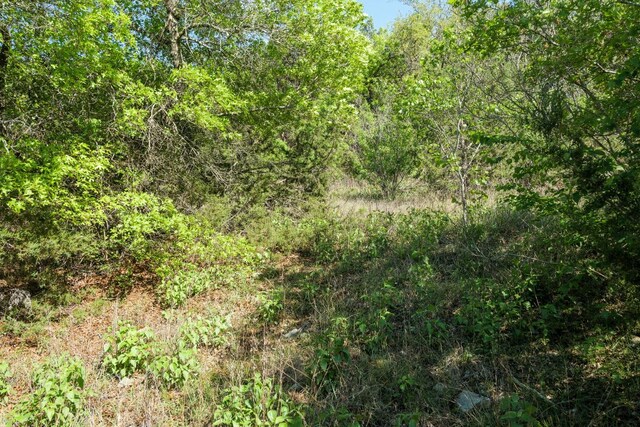 6801 Finklea Cv, Austin, TX 78730 - photo 17