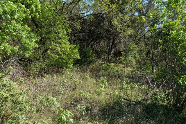 6801 Finklea Cv, Austin, TX 78730 - photo 21