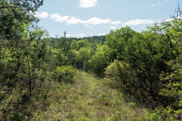 6801 Finklea Cv, Austin, TX 78730 - photo 23