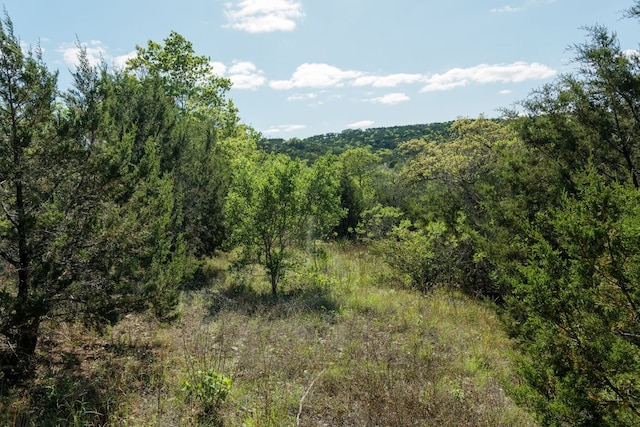 6801 Finklea Cv, Austin, TX 78730 - photo 24