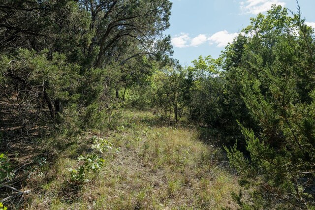 6801 Finklea Cv, Austin, TX 78730 - photo 25