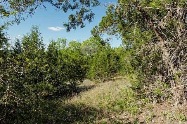 6801 Finklea Cv, Austin, TX 78730 - photo 26
