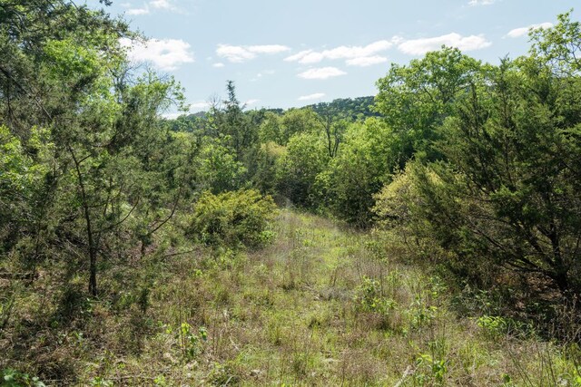 6801 Finklea Cv, Austin, TX 78730 - photo 27