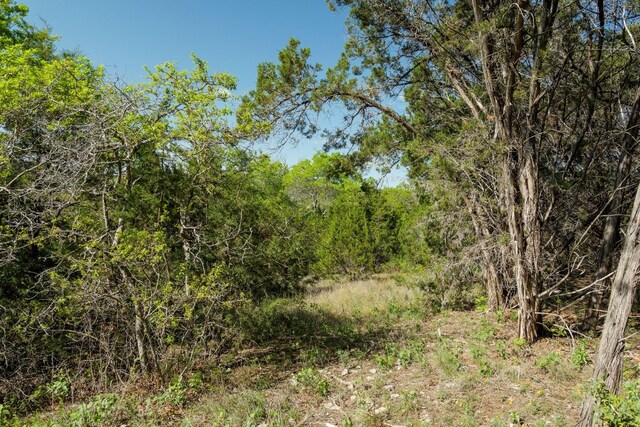 6801 Finklea Cv, Austin, TX 78730 - photo 28