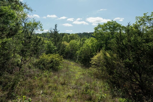 6801 Finklea Cv, Austin, TX 78730 - photo 29