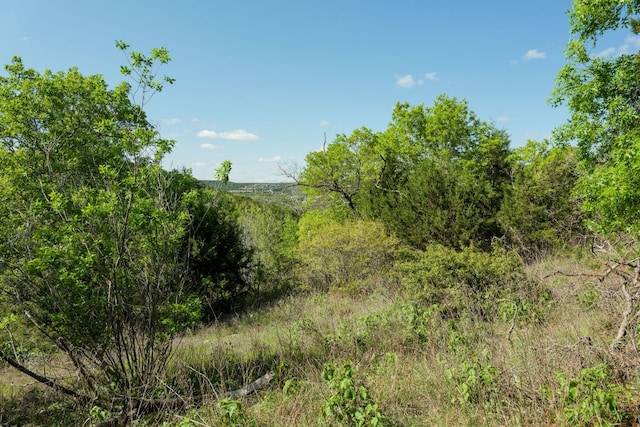 6801 Finklea Cv, Austin, TX 78730 - photo 30