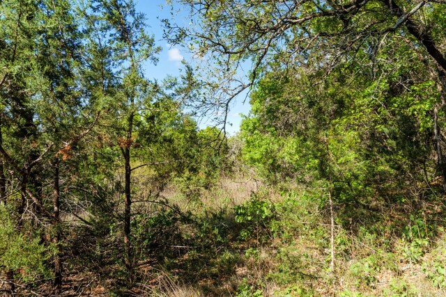 6801 Finklea Cv, Austin, TX 78730 - photo 32