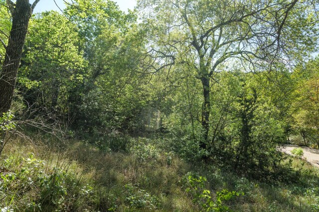 6801 Finklea Cv, Austin, TX 78730 - photo 33