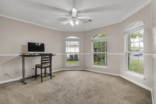 1107 Ascot St, Georgetown, TX 78626 - photo 12