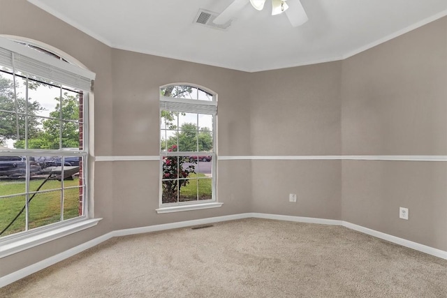 1107 Ascot St, Georgetown, TX 78626 - photo 13