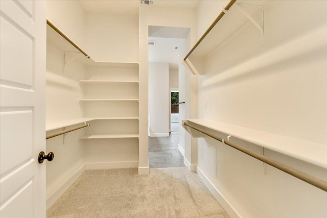 1404 S Brook Dr, Leander, TX 78641 - spacious closet with carpet