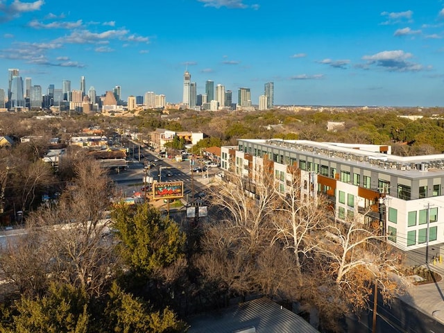 2209 S 1st St Unit 408, Austin, TX 78704 - view of city skyline