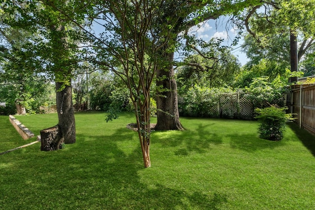 5800 Marilyn Dr, Austin, TX 78757 - view of yard