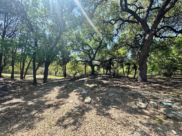 604 Lake Side Cv, Georgetown, TX 78628 - view of landscape