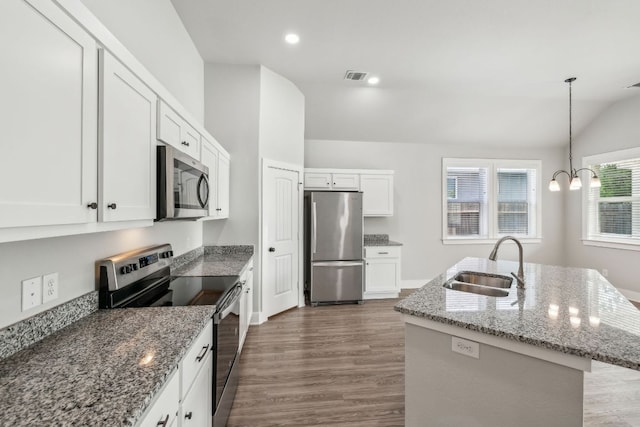206 N Winston Dr, Fredericksburg, TX 78624 - kitchen featuring vaulted ceiling, a sink, stone countertops, appliances with stainless steel finishes, and visible vents