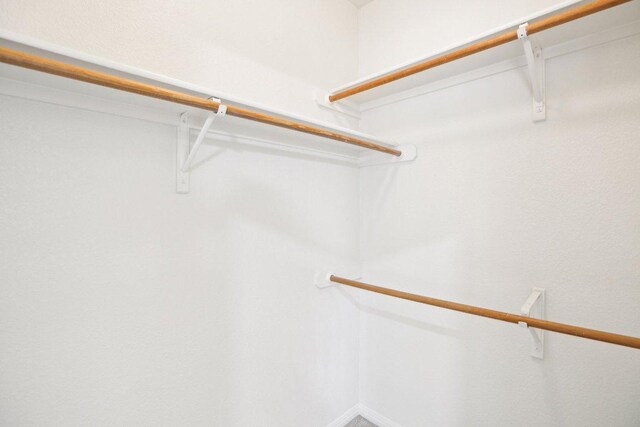10120 Treasure Island Dr, Austin, TX 78730 - view of spacious closet