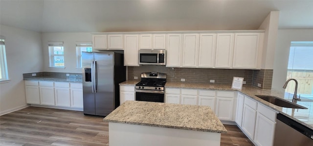 101 Wild Sage Ln, Liberty Hill, TX 78642 - photo 4