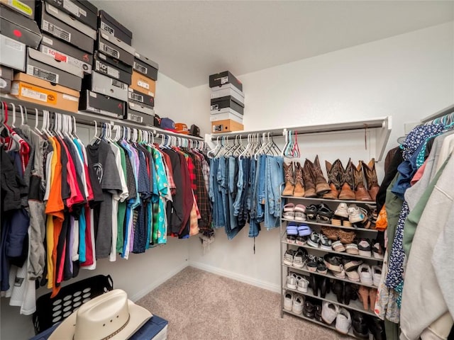 369 Empress Tree Dr, Leander, TX 78641 - spacious closet featuring carpet flooring
