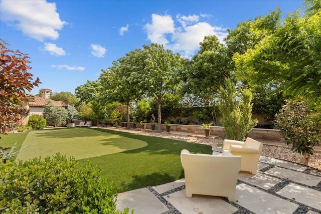 205 Bisset Ct, Austin, TX 78738 - fenced backyard with an area to practice putting and a patio area