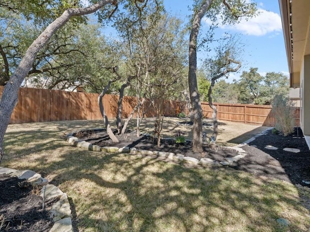 29047 Hobblebush, San Antonio, TX 78260 - view of fenced backyard
