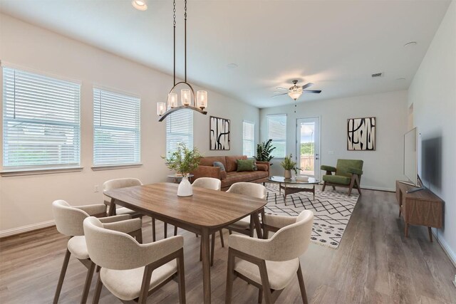 9945 Comely Bnd, Manor, TX 78653 - dining room with ceiling fan, wood finished floors, baseboards, and a chandelier