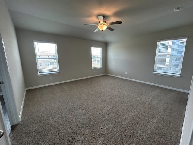 1850 Settlers Glen Dr Unit 1301, Round Rock, TX 78665 - photo 5