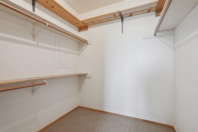 21009 Fawn Ridge Dr, Lago Vista, TX 78645 - spacious closet featuring carpet flooring