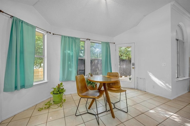 dining room with vaulted ceiling, plenty of natural light, tile patterned flooring, and baseboards