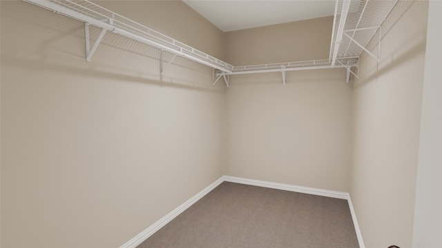 3815 Leming Ct, Temple, TX 76504 - photo 13