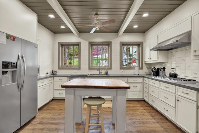 kitchen with under cabinet range hood, a sink, tasteful backsplash, appliances with stainless steel finishes, and ceiling fan