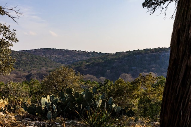 property view of mountains with a view of trees