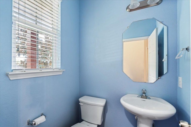 608 Lookout Tree Ln, Round Rock, TX 78664 - half bathroom featuring toilet and a sink