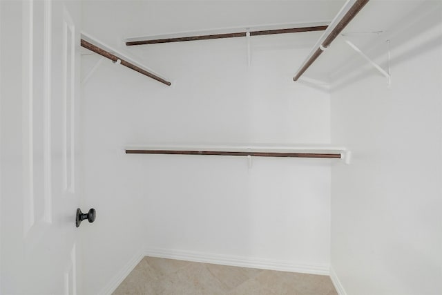 3614 Serena Woods Ct, Austin, TX 78759 - view of spacious closet
