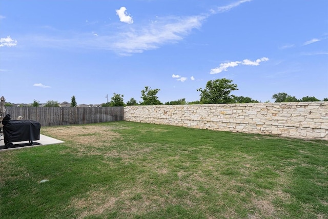 600 Spurlock Way, Liberty Hill, TX 78642 - view of yard