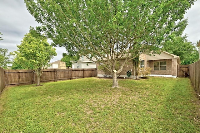 view of yard with a fenced backyard