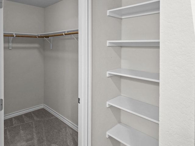 spacious closet featuring dark colored carpet