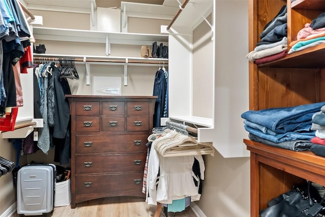 109 Perpetuation Dr, Austin, TX 78734 - spacious closet with light wood-style floors